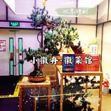 打卡🔥朝阳大悦城🔥最地道的🥇徽菜馆｜小徽舟·徽菜馆