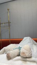 -北京漾格医疗美容医院