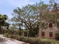 -厦门大学(思明校区)