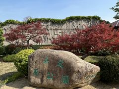 -嘉定紫藤园