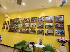 -杨梅红艺术教育(万象城教学中心)