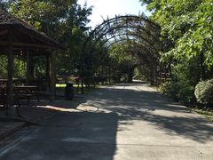 -森波拉火山温泉