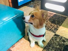 -唱吧麦颂KTV(新唐万科广场店)