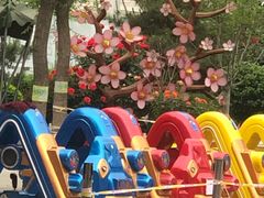 -南宫五洲植物乐园