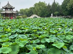 -莲池书院博物馆