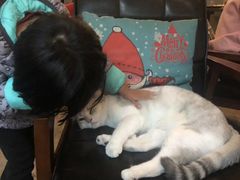 -咖法森林·咖啡  酒吧(天河店)