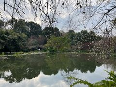 -成都杜甫草堂博物馆
