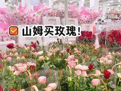 -山姆会员商店(亦庄创意生活广场店)