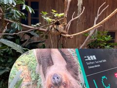 -香港海洋公园