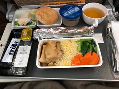 -新加坡航空公司(ION)
