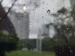 -花园5號餐厅