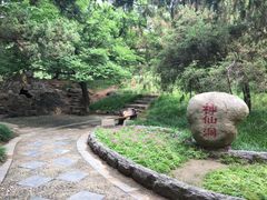 -西苑公园