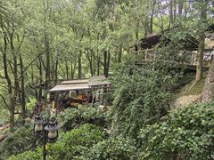 -巴倒烫陆派重庆火锅(南山店)