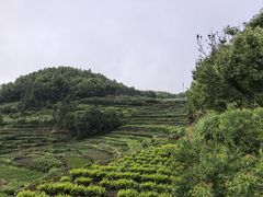 -乌石村