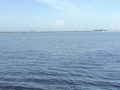 -北海金海湾红树林生态旅游区