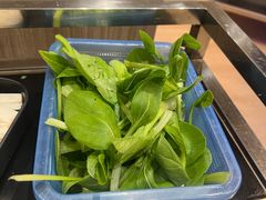 -林记潮牛·牛肉火锅(上马墩店)