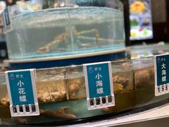 -金海湾海鲜总店
