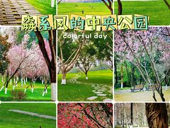 -重庆中央公园(渝北区)