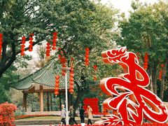 -荔湾湖公园