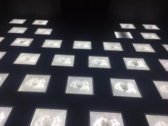 -MOJO密室逃脱(中街旗舰店)