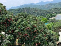 -广州市石门国家森林公园