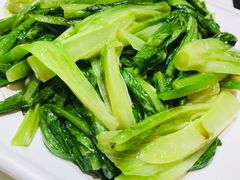 -有心德(麦地店)