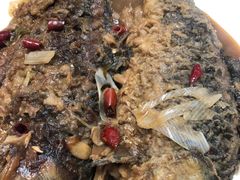 -姚一刀大广安驴肉(津保路店)