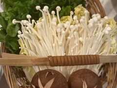 -同仁四季椰子鸡(福田东园总店)