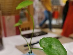 -若蘭慈·无国界素食料理(欢乐海岸店)