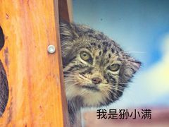 -青藏高原野生动物园