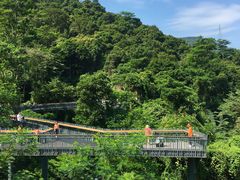 -阳台山森林公园