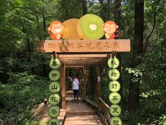 景点-大岭沟猕猴桃谷风景区