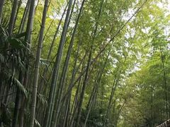 -南山风景名胜区