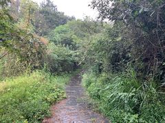 -青龙山国家森林公园