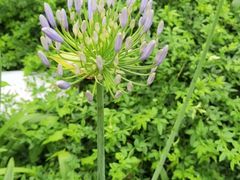 -优依派干洗到家洗衣洗鞋吴江