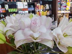 -名典餐厅(铁西立安花园店)