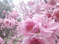 -堤角公园