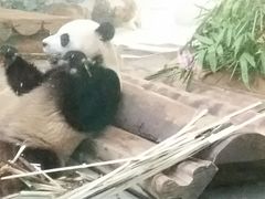 -海南热带野生动植物园