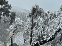 -南岳衡山风景名胜区