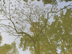 -南山植物园