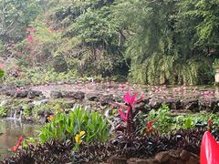 -海南热带野生动植物园
