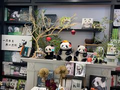 -轩客会(熊猫书店)
