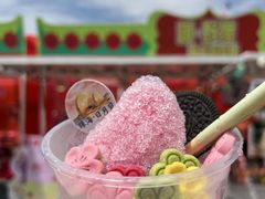 -野狸岛