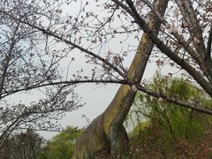 -自然谷恐龙园