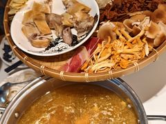 -滇铺子·云南特色菜·第九届野生菌美食节(东风东路c86店)