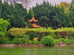 -嘉定紫藤园
