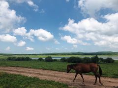 -塞罕坝国家级自然保护区