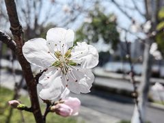 -杭州电子信息职业学校(丁桥校区)