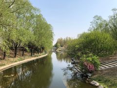 -大望京公园