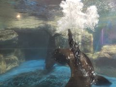 -锦艺城海洋馆